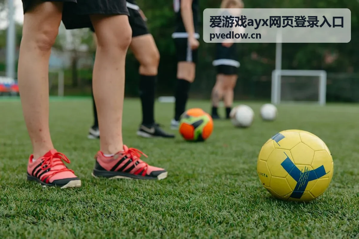 爱游戏ayx网页登录入口游戏平台应用场景