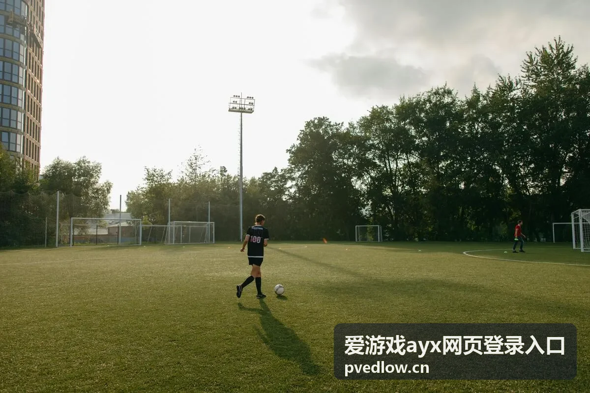 爱游戏ayx安全防护中心预览