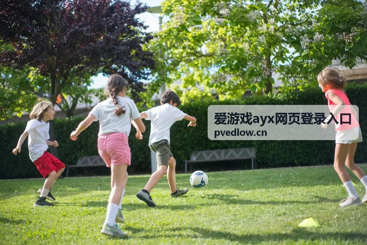 爱游戏ayx网页登录入口多端流畅使用场景