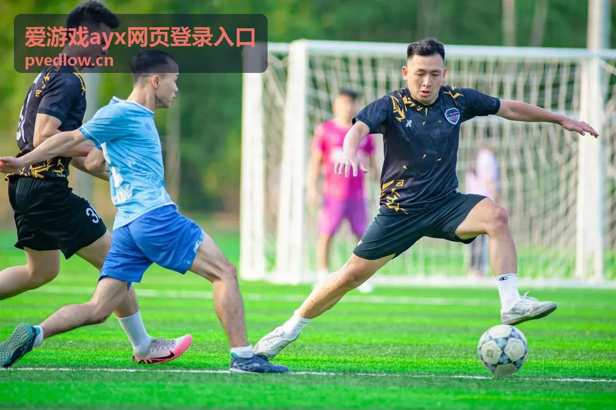 爱游戏ayx账号安全防护示意图