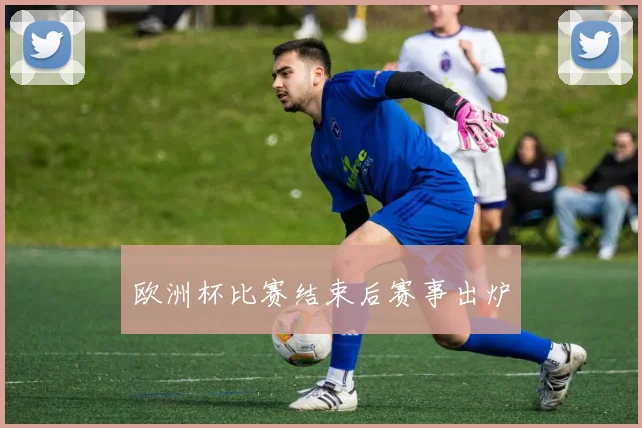 欧洲杯比赛结束后赛事出炉