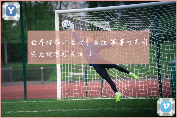 世界杯第二名次引关注 赛事结果引发后续赛程关注_1