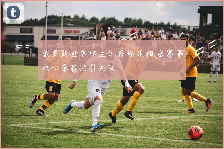 俄罗斯世界杯主体育场亮相 成赛事核心承载地引关注