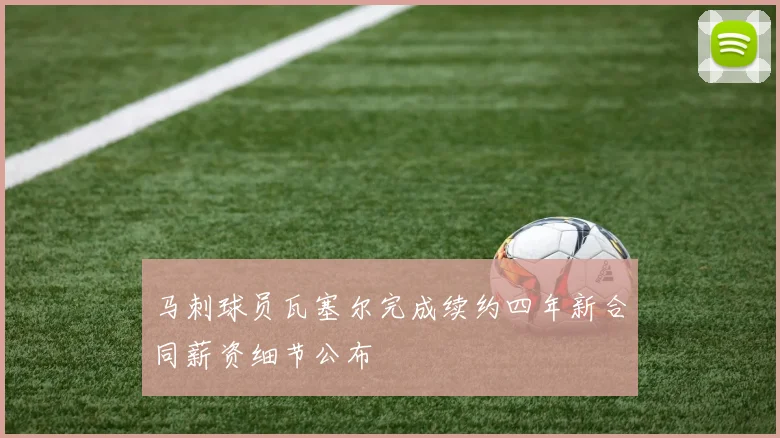 马刺球员瓦塞尔完成续约四年新合同薪资细节公布