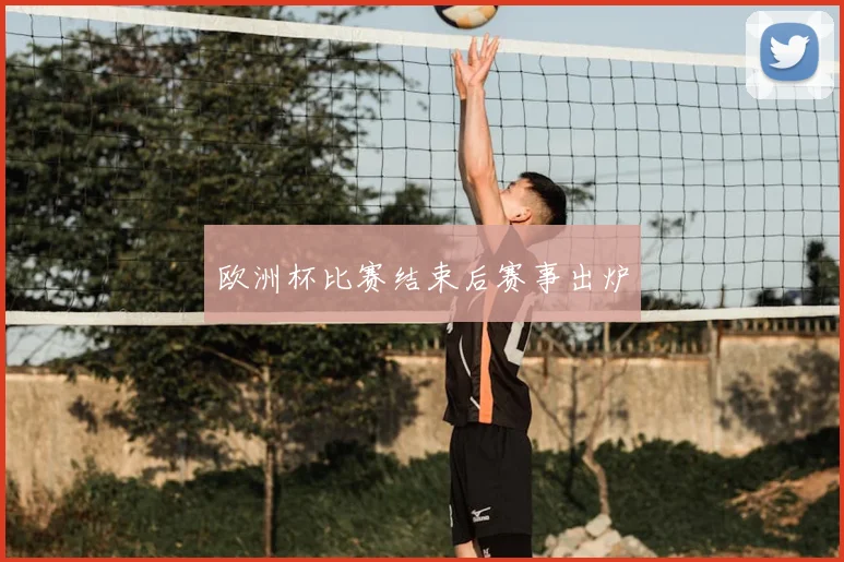欧洲杯比赛结束后赛事出炉