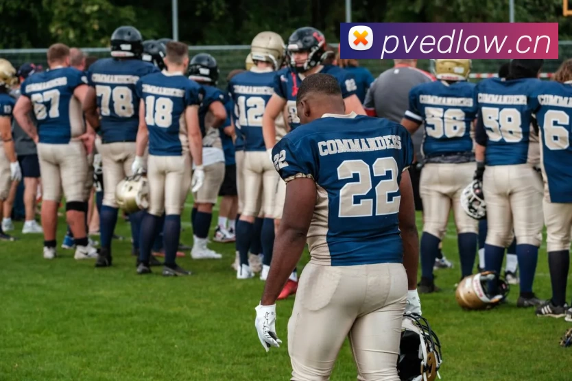 亚美体育(中国)官方网站平台生态图