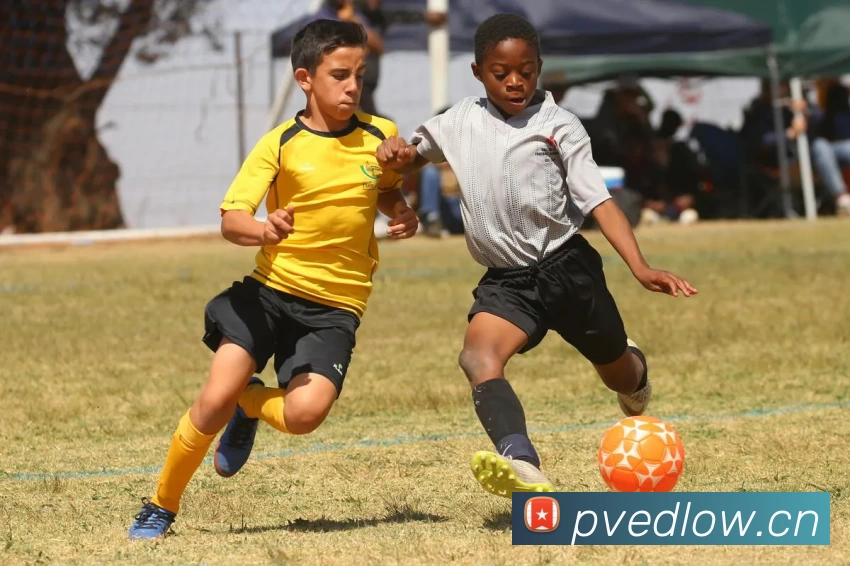 数据防护可视化